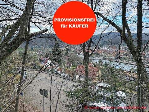 Eberbach Grundstücke, Eberbach Grundstück kaufen