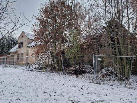 Nienburg OT Pobzig Häuser, Nienburg OT Pobzig Haus kaufen