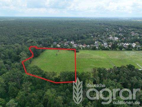 Falkensee Bauernhöfe, Landwirtschaft, Falkensee Forstwirtschaft