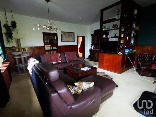 WhatsApp Bild 2025-10-14 um 20.49.41_e679fde8