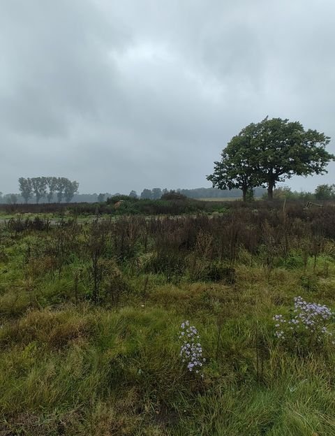 Winsen (Luhe) Grundstücke, Winsen (Luhe) Grundstück kaufen