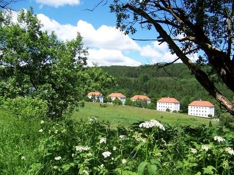 Sebnitz Wohnungen, Sebnitz Wohnung mieten