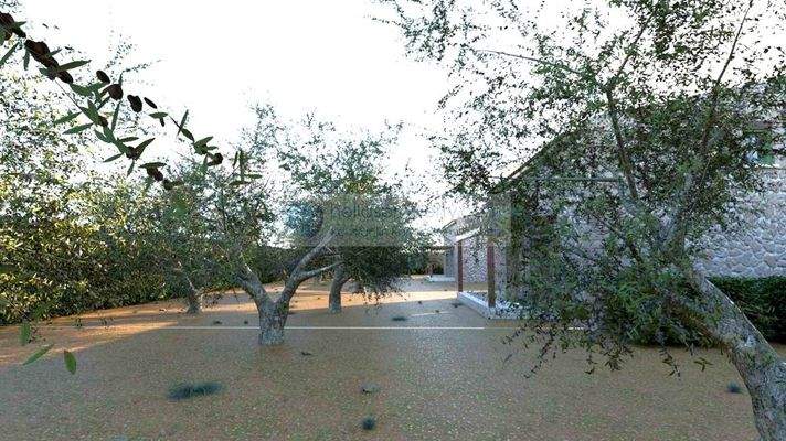 img_a0cac6a0-e760-4123-9aa3-7182320144ea