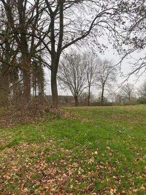 Blick auf das Grundstück 