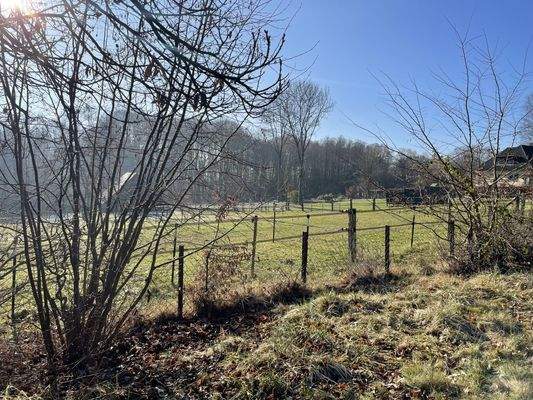 die angrenzende Pferdekoppel