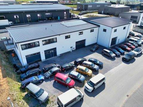 Erbach Halle, Erbach Hallenfläche