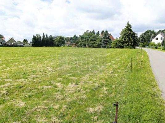 Grundstücksansicht im Sommer 09