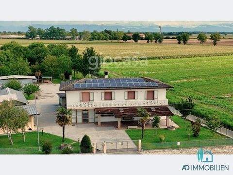 Palazzolo Dello Stella Häuser, Palazzolo Dello Stella Haus kaufen