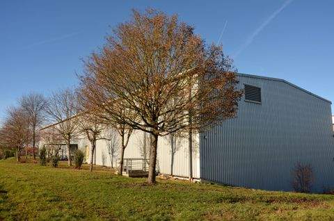 Essingen Halle, Essingen Hallenfläche