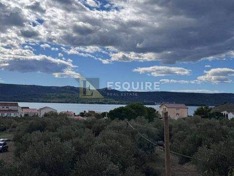 Sveti Filip i Jakov Bauernhöfe, Landwirtschaft, Sveti Filip i Jakov Forstwirtschaft