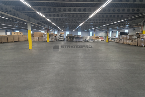 Frankenthal Halle, Frankenthal Hallenfläche