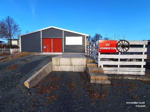 Plauen Halle, Plauen Hallenfläche