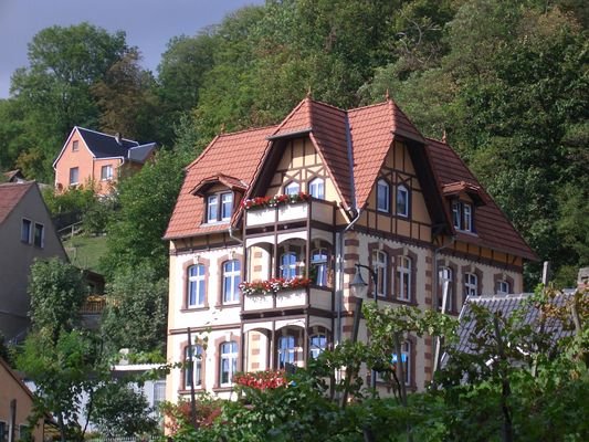 Blick vom Kurpark