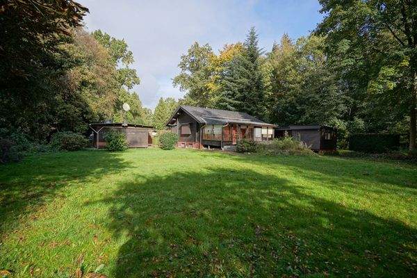 Garten, Blick auf das Haus