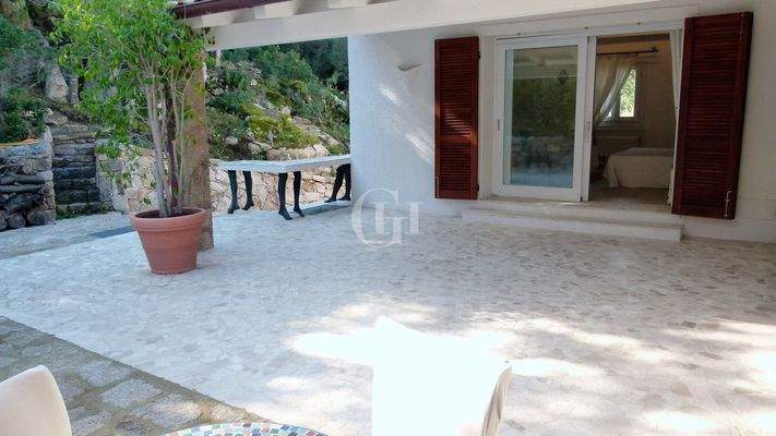 15Visata camera master 