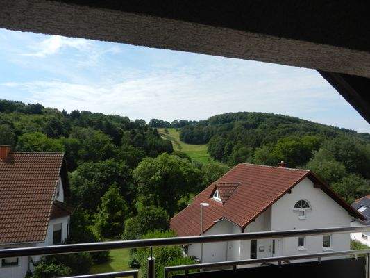 Blick von Loggia.JPG