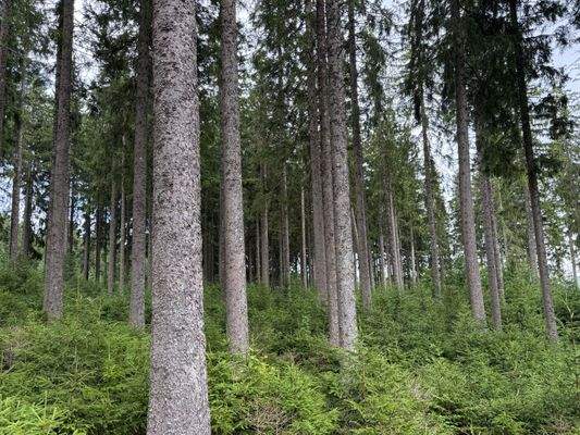 2025-07-22 14.21.25.jpg