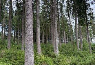 2025-07-22 14.21.25.jpg