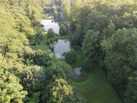 Sumetlica Cernicka Bauernhöfe, Landwirtschaft, Sumetlica Cernicka Forstwirtschaft