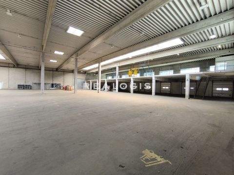 Norderstedt Halle, Norderstedt Hallenfläche