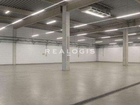 Stuttgart Halle, Stuttgart Hallenfläche