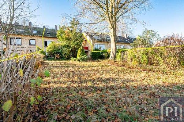 Blick über das eingewachsene Grundstück