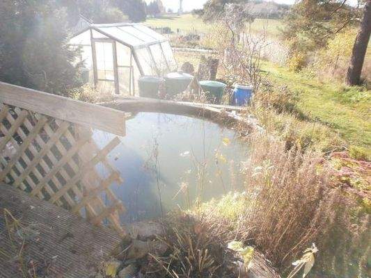 Teich mit Grünfläche