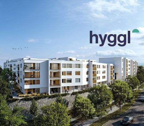 Kassel Wohnungen, Kassel Wohnung mieten