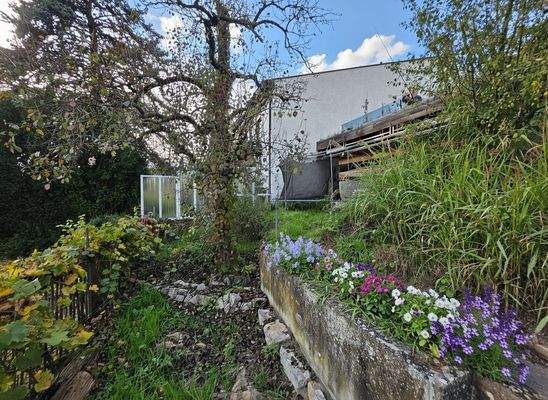 Garten- und Beetbereich vor dem Haus #173457