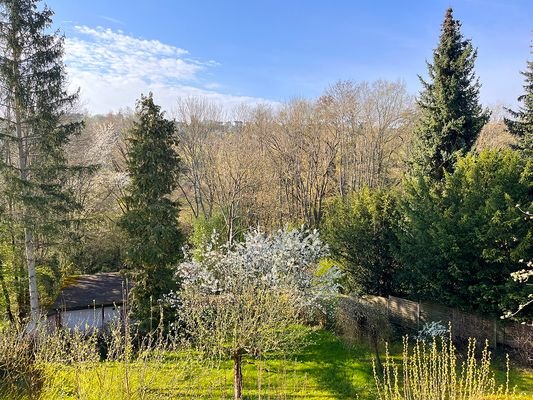 Aussicht vom Balkon