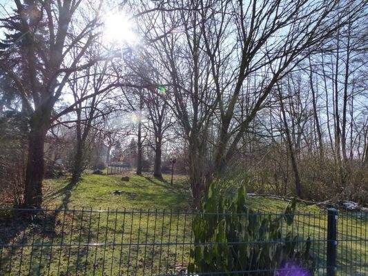 Blick zum Grundstück von der Straße B.2