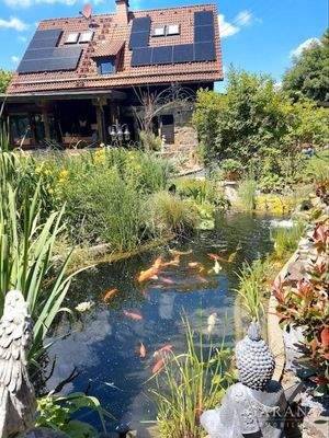 Gartenansicht mit Koiteich