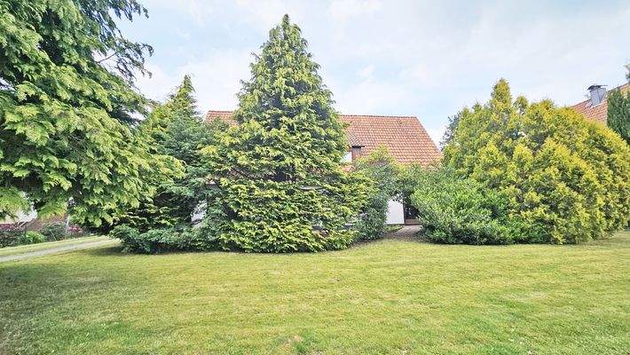 Front Übersicht.jpg