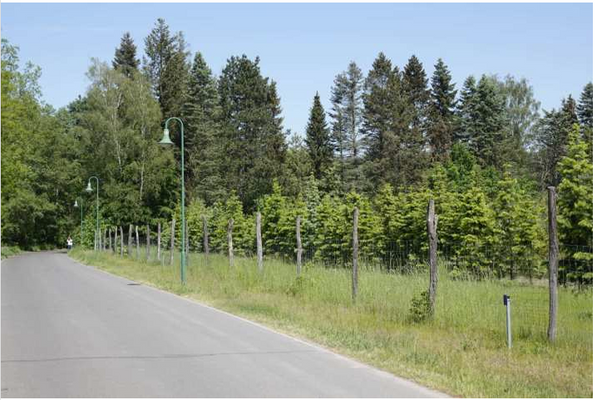 Blick von der Straße auf die Flurstücke.png