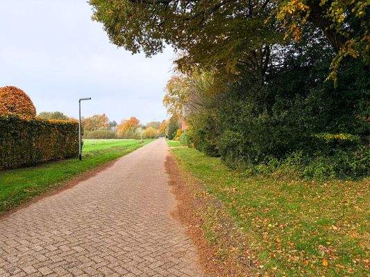 Blick in den Warmloger Weg