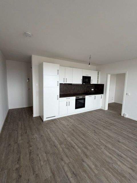 Dresden Wohnungen, Dresden Wohnung mieten