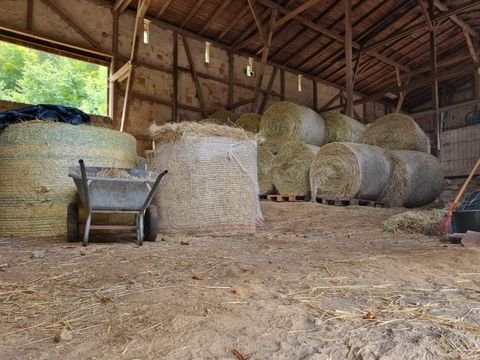 Bad Berka Bauernhöfe, Landwirtschaft, Bad Berka Forstwirtschaft