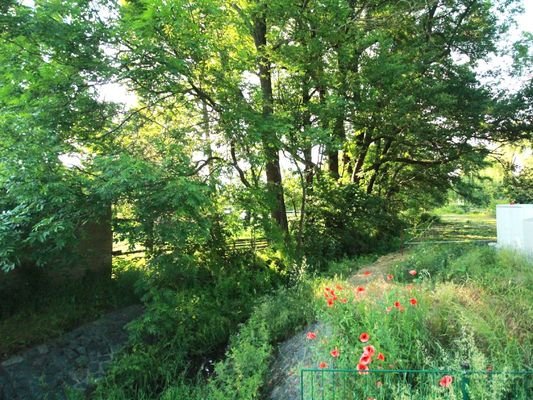 Baumreiches Grundstück mit Bach