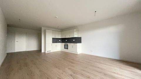 Dresden Wohnungen, Dresden Wohnung mieten