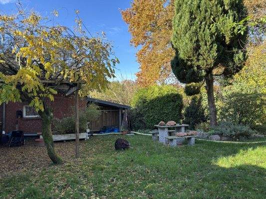 Blick in den Garten