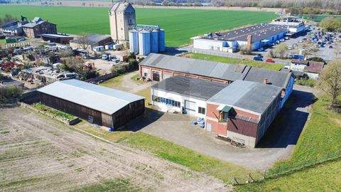 Ilsede Halle, Ilsede Hallenfläche