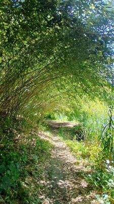 0-02-05-622320d22e7762a1dd170a9c2ef97b2f0c9923672a