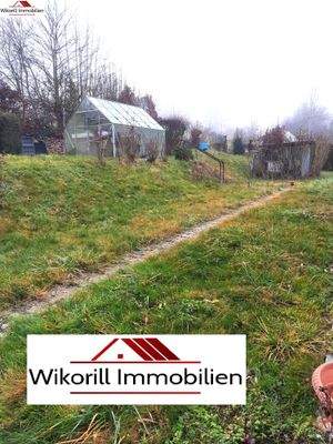 Garten mit Gewächshaus.jpg