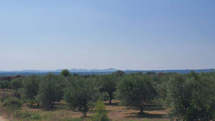 Blick aus dem OG