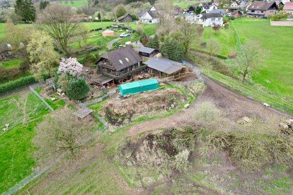 dji_fly_20240405_120114_533_1712665877216_photo.jp