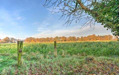 Greven Bauernhöfe, Landwirtschaft, Greven Forstwirtschaft