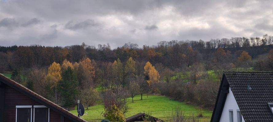 Ausblick OG links.jpg