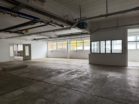 Hof / Moschendorf Halle, Hof / Moschendorf Hallenfläche