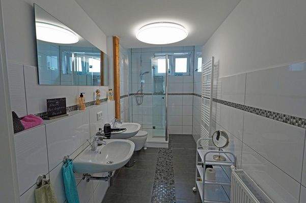 gr. App - Tageslichtbad mit Dusche