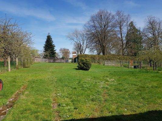 WhatsApp Image 2024-11-22 at 15.30.56  6.jpeg